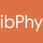 IBDP Physics Logo